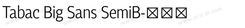 Tabac Big Sans SemiB字体转换 Tabac Big Sans SemiB字体转换